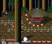 Game image #3 of Pocky & Rocky