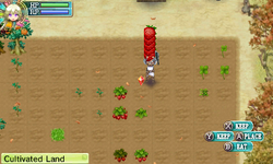Game image #1 of Rune Factory 4 Game image #1 of Rune Factory 4