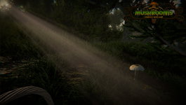 Game image #2 of Mushrooms: Forest Walker