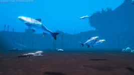 Game image #1 of Among Ripples 2 Game image #1 of Among Ripples 2