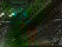 Game image #3 of Borderzone