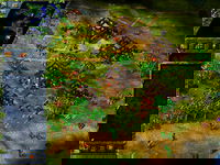 Game image #1 of The Settlers III