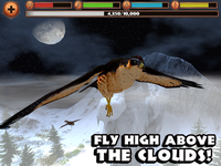 Game image #1 of Falcon Simulator