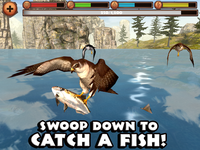 Game image #2 of Falcon Simulator