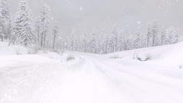 Game image #3 of Richard Burns Rally Game image #3 of Richard Burns Rally