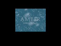 Game image #2 of Amber: Journeys Beyond