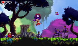 Game image #1 of Shantae and the Pirate's Curse