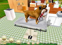 Game image #2 of Paws and Claws: Pet Vet Game image #2 of Paws and Claws: Pet Vet