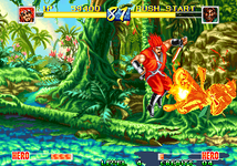 Game image #2 of World Heroes Perfect Game image #2 of World Heroes Perfect