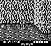 Game image #1 of Battletoads In Ragnarock's World