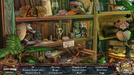 Game image #2 of Victorian Mysteries: Woman in White