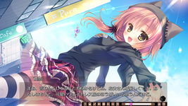 Game image #2 of The logic of the miniature garden