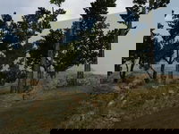 Game image #1 of Tom Clancy's Ghost Recon