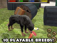 Game image #1 of Ultimate Dog Simulator