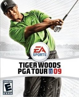 Image of Tiger Woods PGA Tour 09