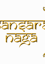 Profile picture of Sansara Naga Profile picture of Sansara Naga