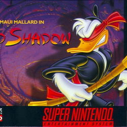 Image of Maui Mallard in Cold Shadow