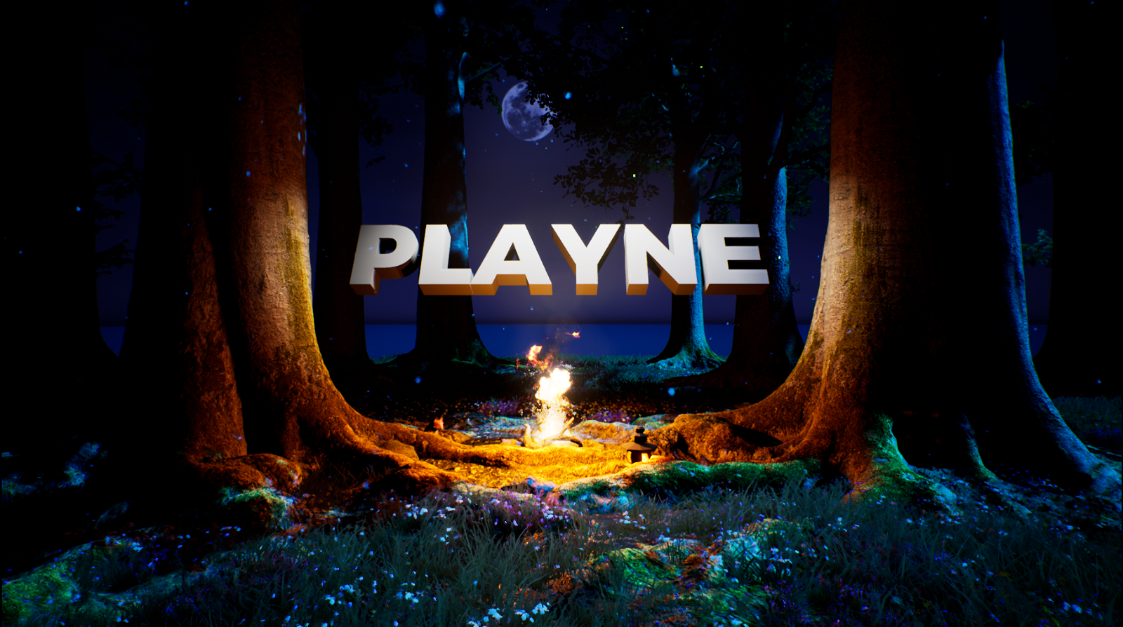 Image of PLAYNE