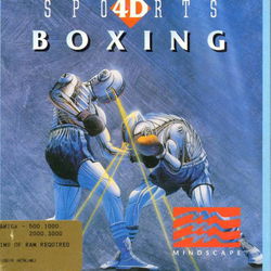 Image of 4D Sports Boxing