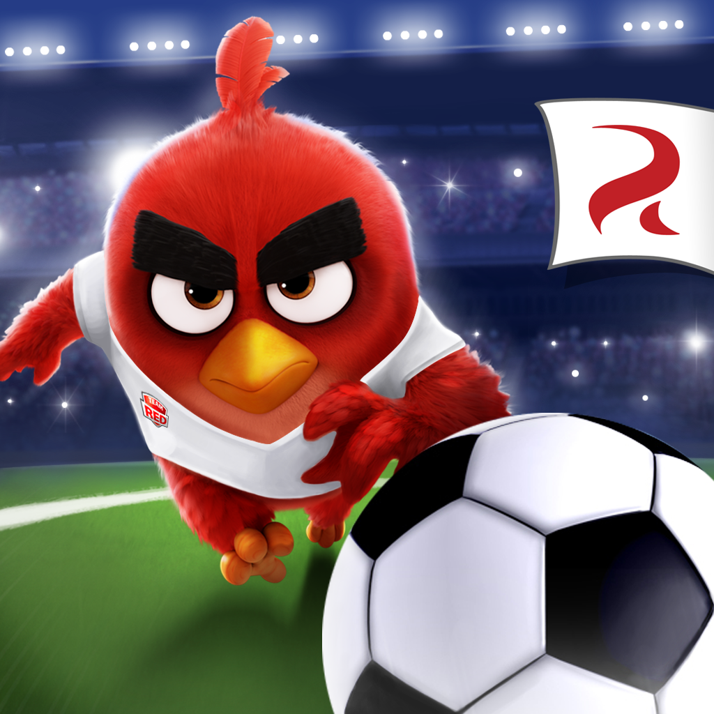 Image of Angry Birds Goal!