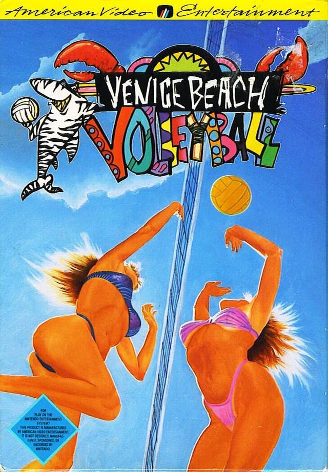 Image of Venice Beach Volleyball
