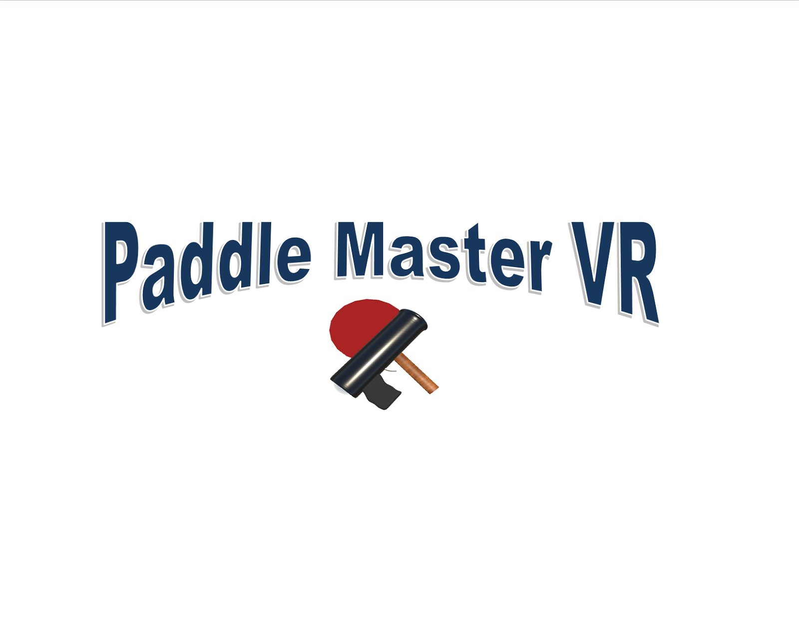 Image of Paddle Master VR