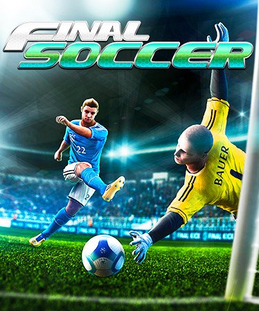 Image of Final Soccer VR - Previously Final Goalie