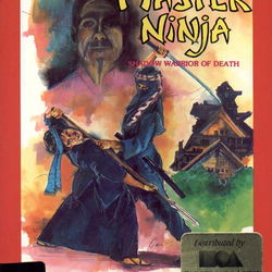 Image of Master Ninja