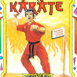 Image of Shanghai Karate Image of Shanghai Karate