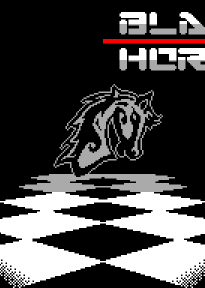 Profile picture of Black Horse Profile picture of Black Horse