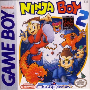 Image of Ninja Boy 2