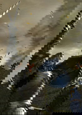 Profile picture of Age of Chivalry