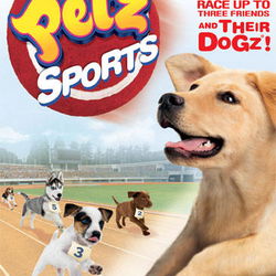Image of Petz Sports Dog Playground Image of Petz Sports Dog Playground