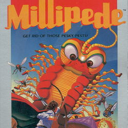 Image of Millipede