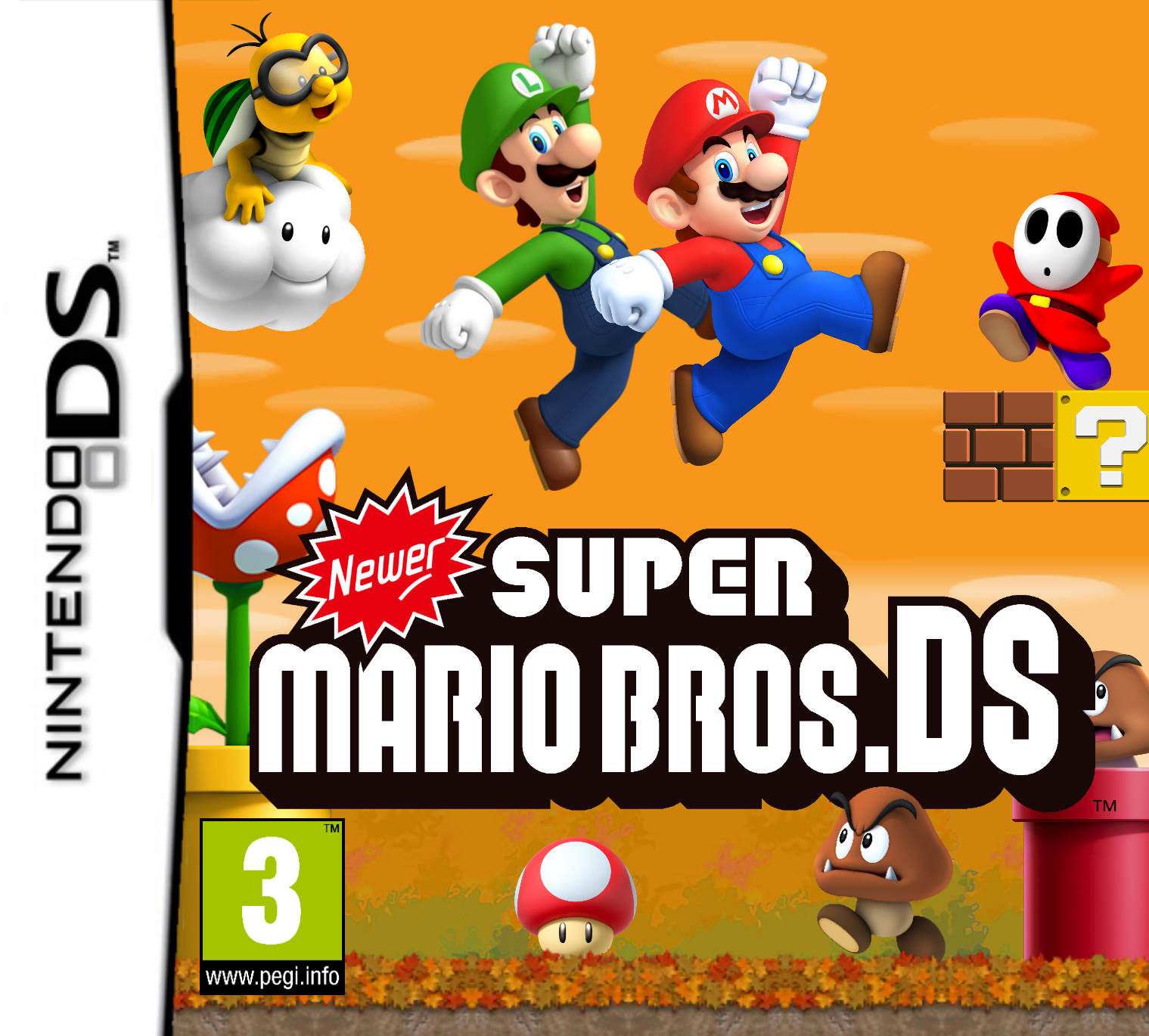 Image of Newer Super Mario Bros. DS