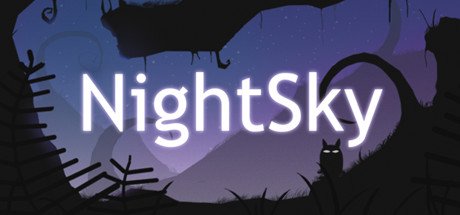 Image of NightSky