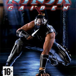 Image of Ninja Gaiden
