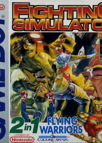 Profile picture of Fighting Simulator: 2-in-1 Flying Warriors Profile picture of Fighting Simulator: 2-in-1 Flying Warriors