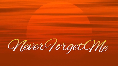 Image of Never Forget Me