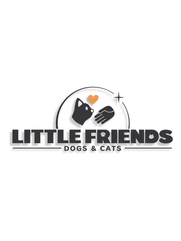 Image of Little Friends: Dogs & Cats