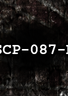 Profile picture of SCP-087-B