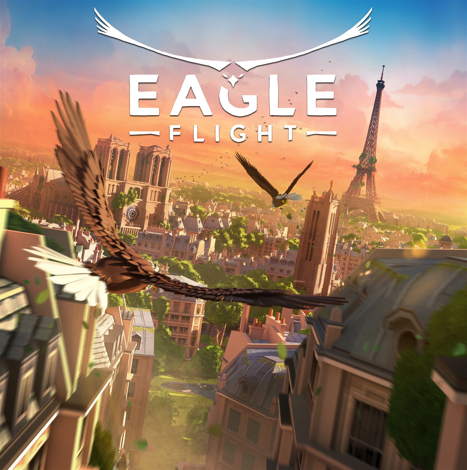 Image of Eagle Flight