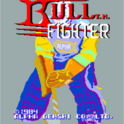 Image of Bull Fighter
