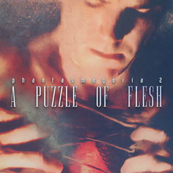 Image of Phantasmagoria: A Puzzle of Flesh
