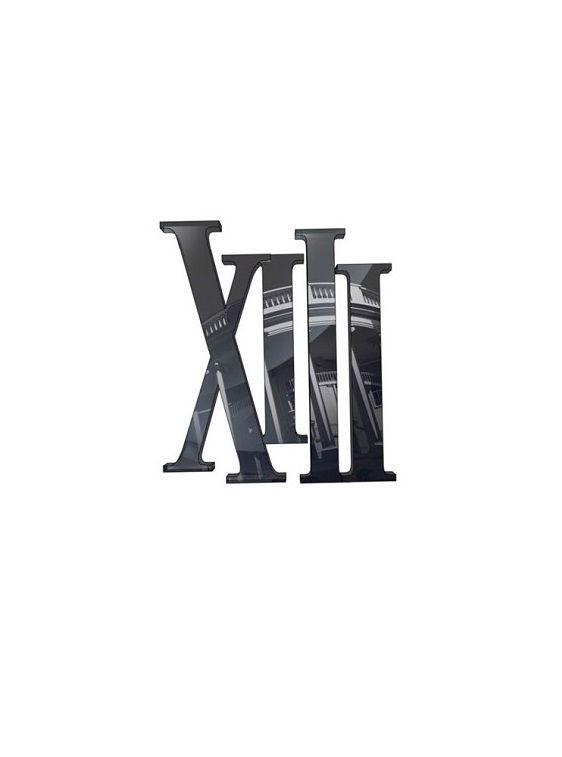 Image of XIII