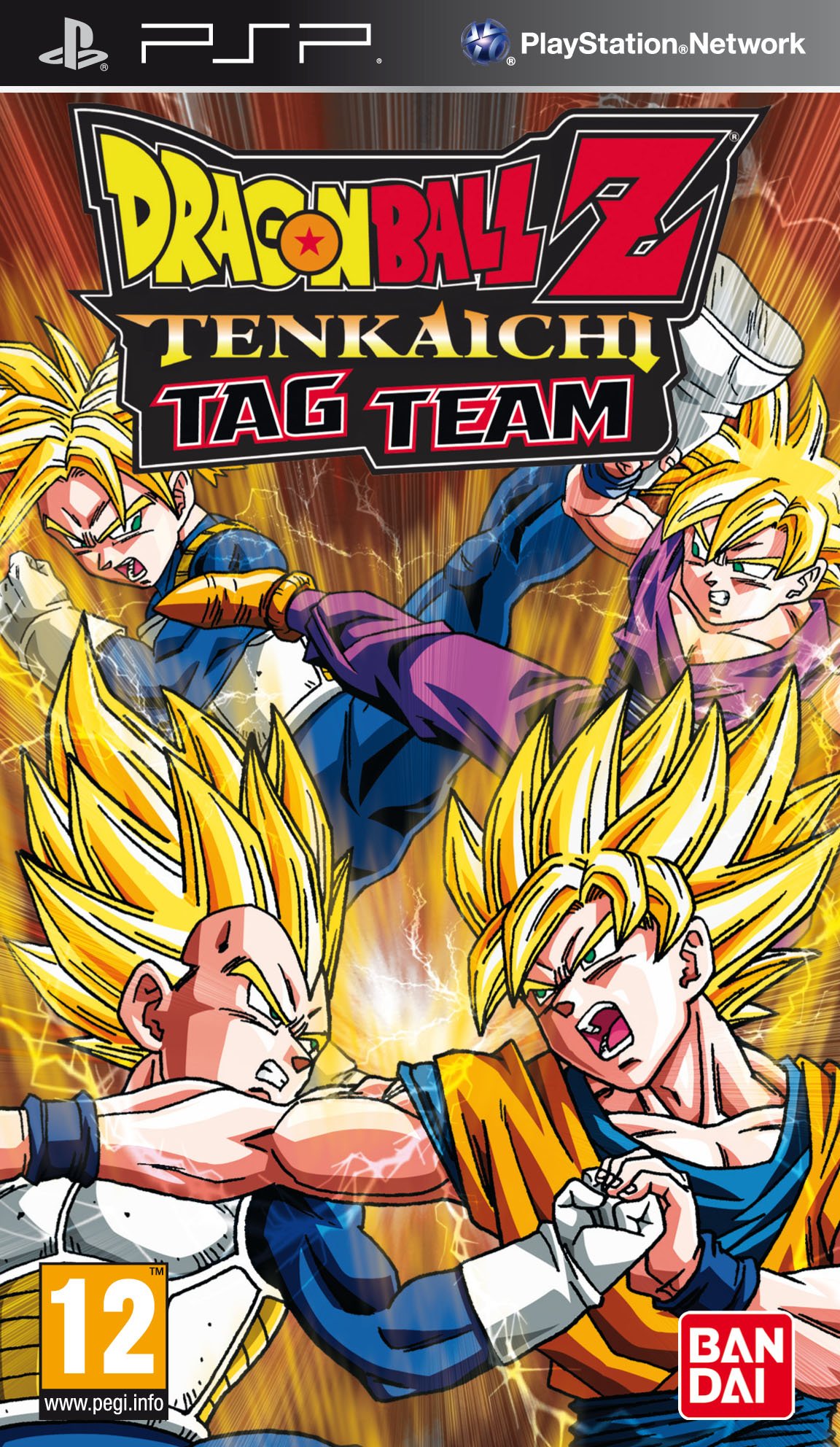 Image of Dragon Ball Z: Tenkaichi Tag Team