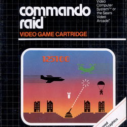 Image of Commando Raid