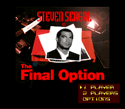 Image of Steven Seagal is The Final Option