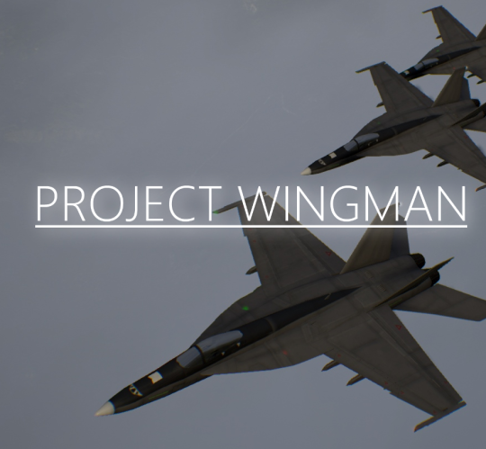 Image of Project Wingman