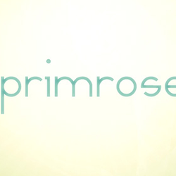 Image of Primrose